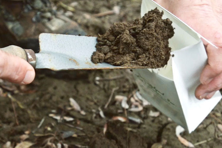 Food Plot Information
