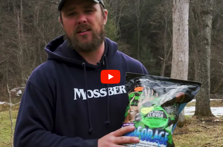 Food Plot Videos