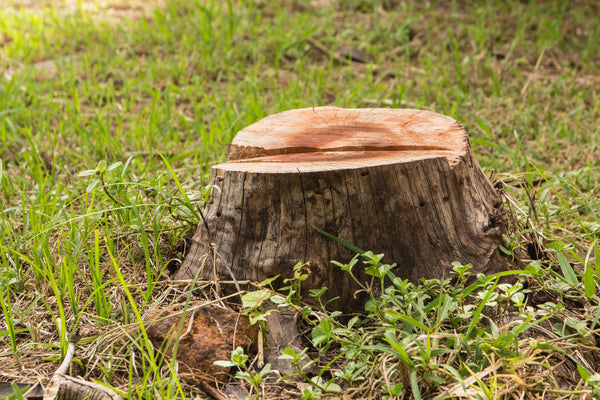 How to Remove Stumps in Poor Man’s Plots