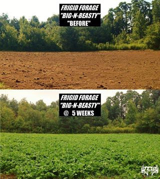 Big-N-Beasty – 4 lb / 1 Acre Bag