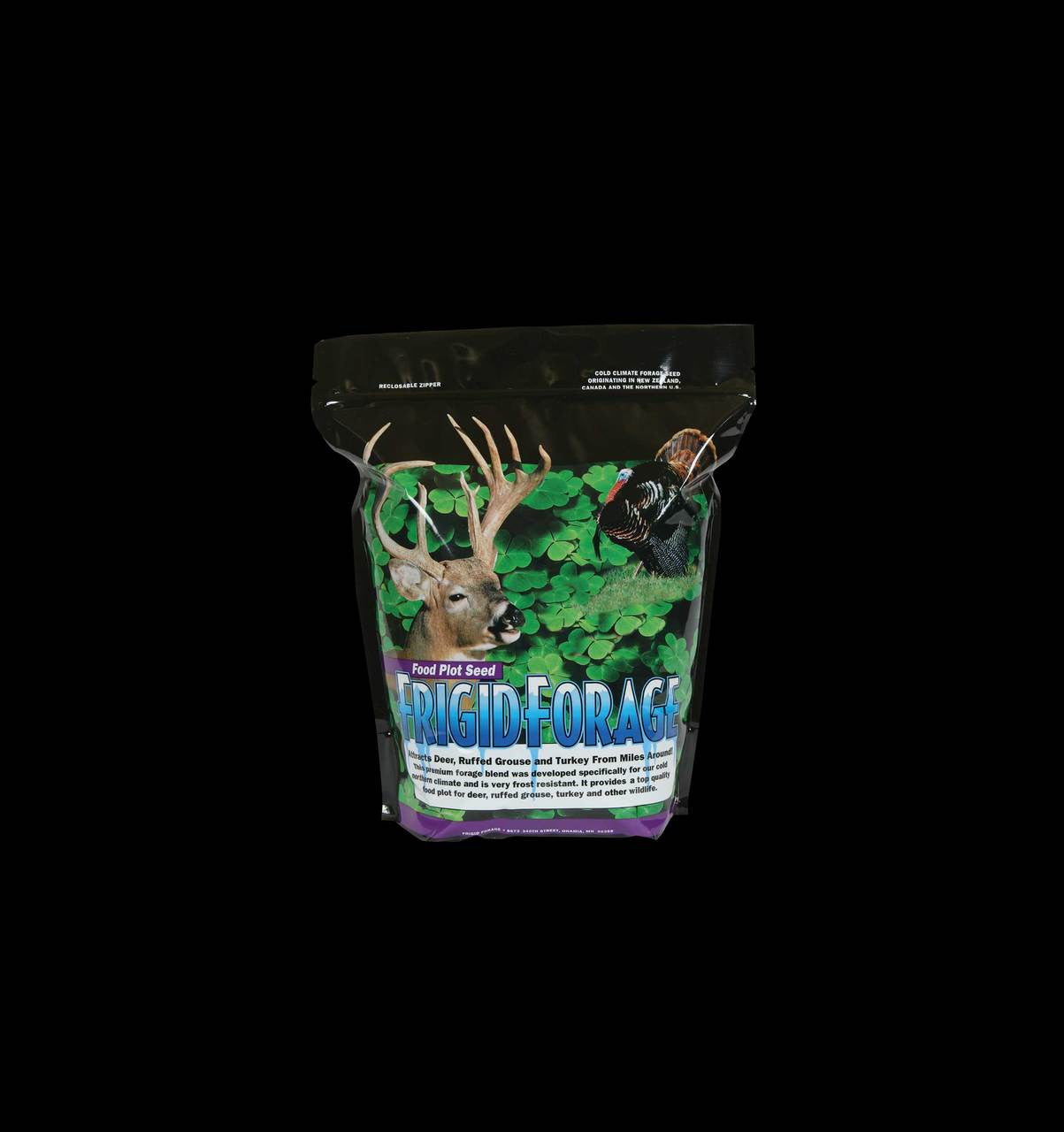 Forage Chicory  4lb / 1 Acre Bag
