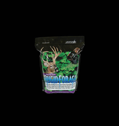 Forage Chicory  4lb / 1 Acre Bag