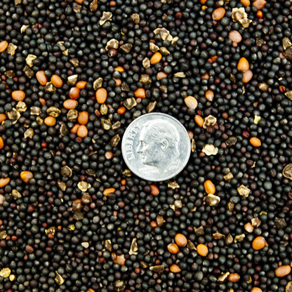 Big-N-Beasty – 4 lb / 1 Acre Bag
