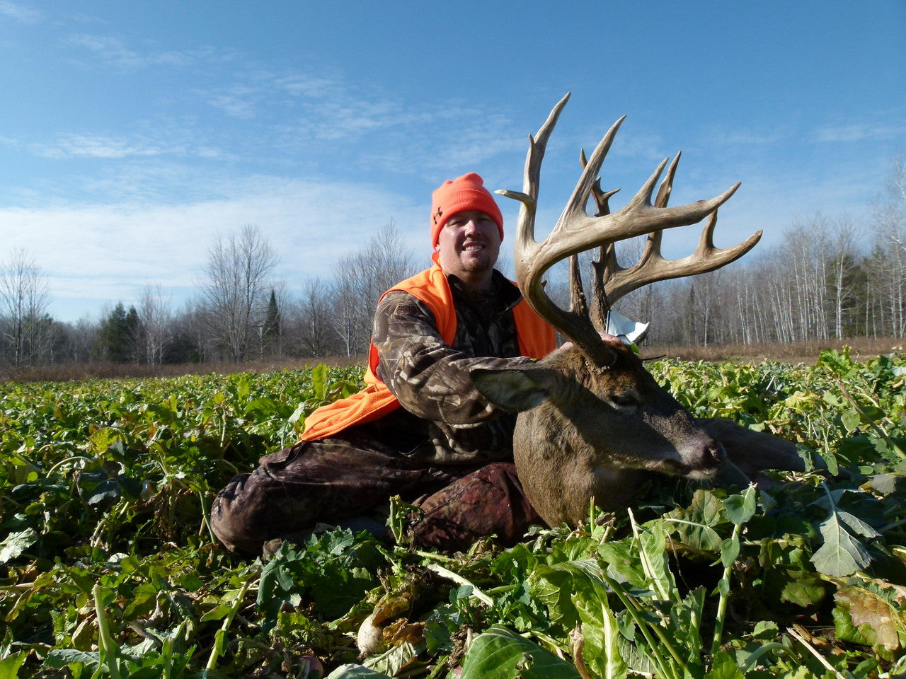 Big-N-Beasty – 4 lb / 1 Acre Bag