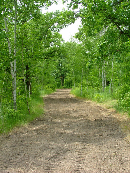 Newly seed trail